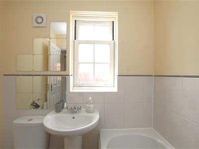 Picture 13